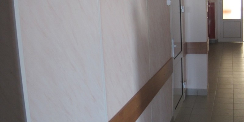 Применение негорючей отделки в Районная поликлиника г. Чаны